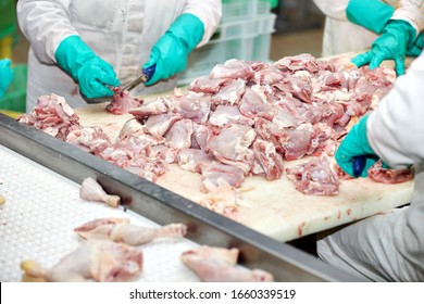 Production In A Chicken Factory 