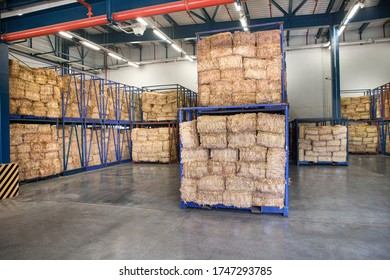 Production Of Cigarettes In A Tobacco Factory