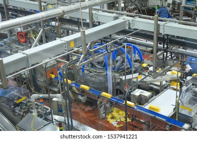 Production of dairy products. Plant, factory in operating mode. Automation of production, conveyors - Shutterstock ID 1537941221