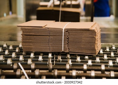 Production Line For The Production Of Cardboard And Corrugated Cardboard In The Factory