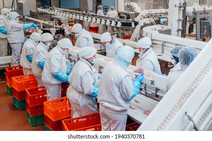 Production line in the food factory.Factory for the production of food from meat.Industrial equipment at a meat factory.Automated production line in modern food factory.People working.