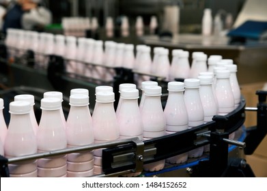 Production Line Of Milk And Yogurt At Milk Processing Plant