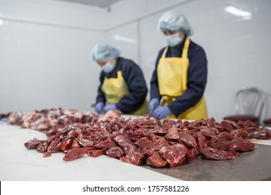 production of meat products, factory