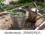 Production of plant liquid manure