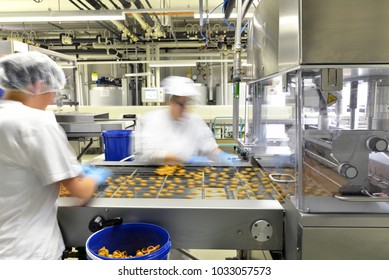 Production Of Pralines In A Factory For The Food Industry - Women Working On The Assembly Line 