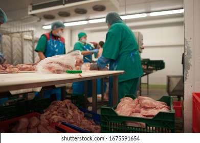 
production processes taking place at a poultry farm where adult turkeys are grown from chickens, as well as processes for the production of meat products such as sausages, meat, sausages, other foоds