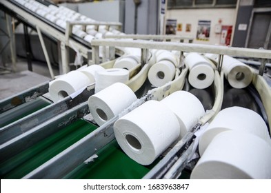 Production of Toilet paper in factory. Toilet paper rolls making machine. Tissue and Kitchen Towels Machine. Long conveyor with toilet paper moving on. 