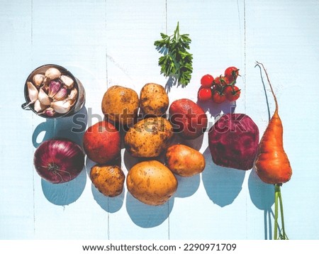 Products for autumn borscht. Cooking borscht Stock photo © 