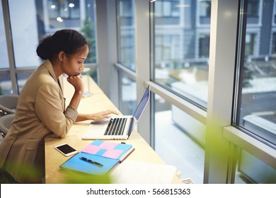Professional administrative manager making annual report of job comparing information from database on laptop computer connected to free wireless connection in free wifi zone indoor during working day