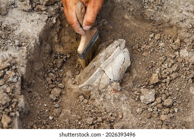 Professional Archaeological excavations, archaeologists work, dig up an ancient clay artifact with special tools in soil - Shutterstock ID 2026393496