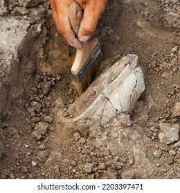 Professional Archaeological excavations, archaeologists work, dig up an ancient clay artifact with special tools in soil - Shutterstock ID 2203397471