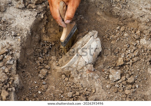 Professional\
Archaeological excavations, archaeologists work, dig up an ancient\
clay artifact with special tools in\
soil