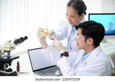 Professional Asian Senior Female Medical Supervisor Working And Testing A Medical Liquid With A Young Male Medical Technician In The Office Together. Biotechnology Research Concept.