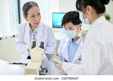 A Professional Asian Senior Female Medical Specialist Supervisor Training Two Young Asian Junior Medical Specialist In The Laboratory.