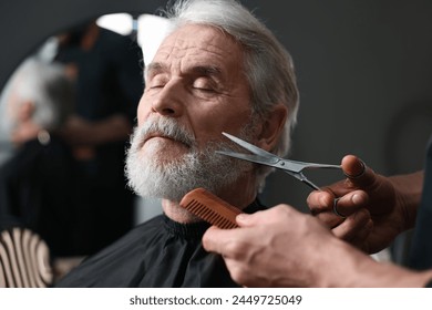Professional barber trimming client's beard with scissors in barbershop