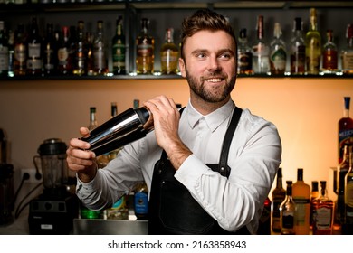 Professional bartender in white shirt and black apron holds in hands steel shaker. Blurred bottles on shelves in the background - Shutterstock ID 2163858943
