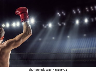 Professional box champion . Mixed media - Powered by Shutterstock