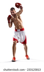 professional boxer are fighting isolated in white