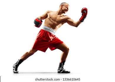 professional boxer isolated in black background dark