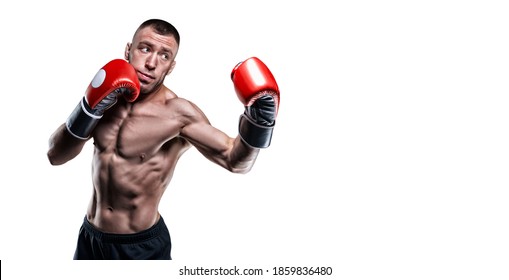 Professional boxer in red gloves exercises punches on a white background. Boxing concept. Mixed media - Powered by Shutterstock