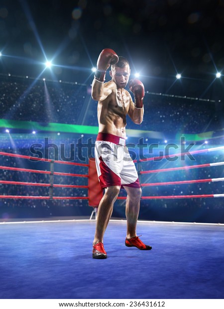 Professional Boxer Training On Grand Arena Stock Photo (Edit Now) 236431612