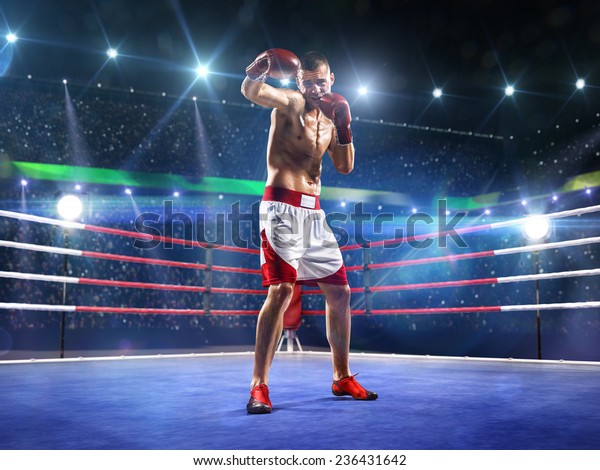 Professional Boxer Training On Grand Arena Stock Photo (Edit Now) 236431642