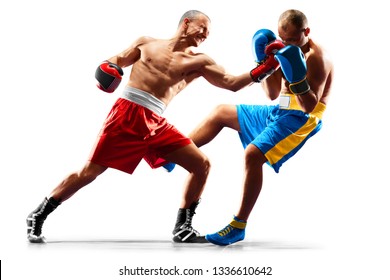 professional boxers isolated in white background dark