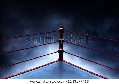 Professional boxing ring 