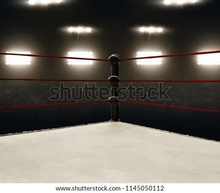 Professional boxing ring 