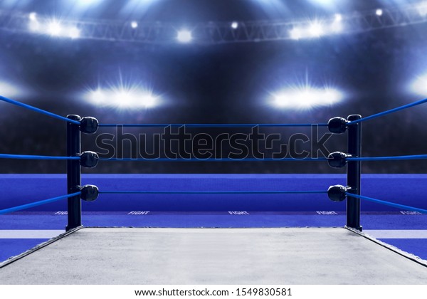 Professional Boxing Ring Sport Concept Stock Photo (Edit Now) 1549830581