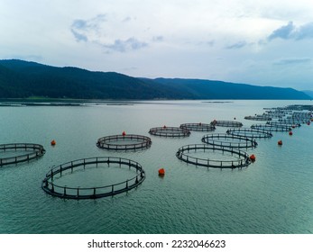 Professional breeding of freshwater fish in intermountain blue lake with round nets. Cloudy weather, Rhodope mountains, Europe