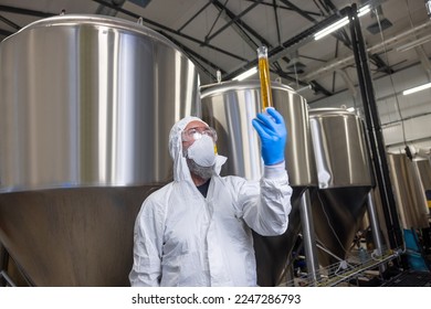 Professional brewer analyzing a beer sample in a glass vessel (