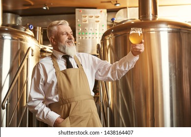 Professional brewer standing near storage tank and holding in one hand lager beer glass. Elderly bearded man with pleasure looking at beer, testing. - Powered by Shutterstock