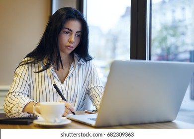 Professional Business Woman Searching Information In Network Concentrated On Solving Problems.Attractive Serious Female Entrepreneur Doing Remote Job Planning Financial Report In Coffee Shop 
