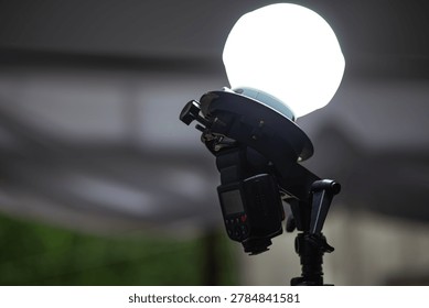 Professional Camera Speed light Flash with Soft Sphere Diffuser on Stand