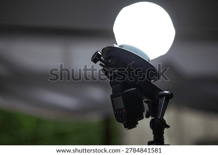 Professional Camera Speed light Flash with Soft Sphere Diffuser on Stand
