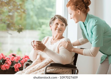 A Professional Caretaker In Uniform Helping A Geriatric Female Patient On A Wheelchair. Senior Holding A Cup And Sitting By A Large Window In A Rehabilitation Center.