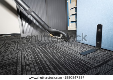 Professional Carpet Steam Cleaning with a wand - Hot water extraction carpet cleaning