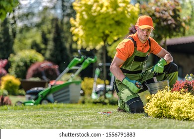 Professional Caucasian Gardener In His 30s And The Beautiful Residential Backyard Garden. Summer Time Maintenance.