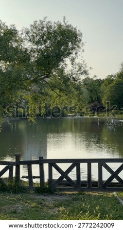 A professional and cinematic vertical composition where a pair of ducks swimming peacefully in a lake is beautifully framed by lush, overhanging willow tree branches in the foreground. Sunlight filters through the green leaves, creating a shimmering 