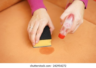 Professional Cleaner Is Cleaning Stain On Sofa With Spray Bottle And Sponge