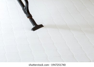 Professional Cleaning Mattress By Vacuum Cleaner From Dust Bacteria Dirty. Vacuum Cleaner Machine Do Disinfection Surfaces, Cleanliness In Hotel Apartment. Copy Space.