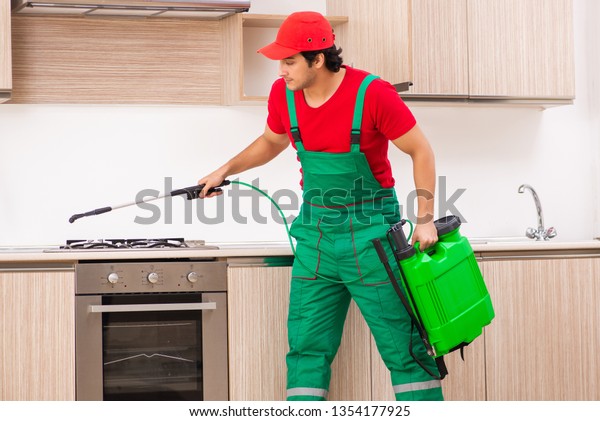 Professional\
contractor doing pest control at\
kitchen