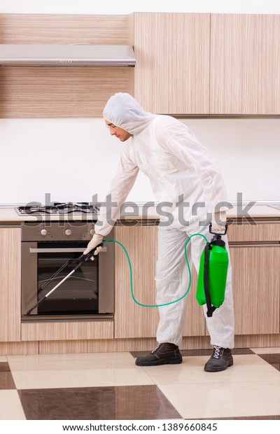 Professional\
contractor doing pest control at\
kitchen