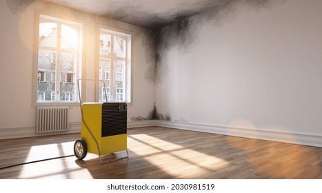 Professional dehumidifier after water damage standing in a room with Mould - Shutterstock ID 2030981519