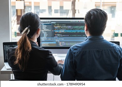 Professional Developer programmer cooperation meeting and brainstorming and programming in website working a software outsourcing and coding technology, writing codes and database.
