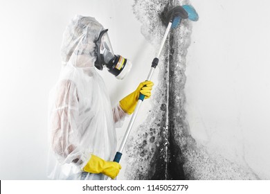 A Professional Disinfector In Overalls Processes The Walls From Mold With A Brush. Removal Of Black Fungus In The Apartment And House. Aspergillus.
