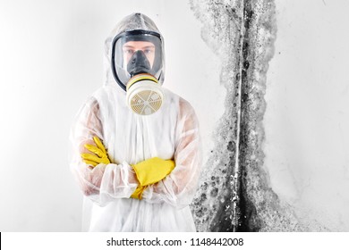 A Professional Disinfector In Overalls Processes The Walls From Mold. Removal Of Black Fungus In The Apartment And House. Aspergillus.
