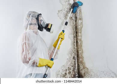 A Professional Disinfector In Overalls Processes The Walls From Mold With A Brush. Removal Of Black Fungus In The Apartment And House. Aspergillus.
