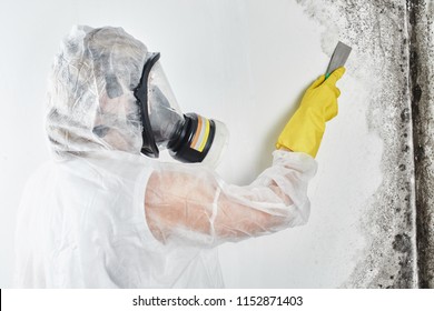 A Professional Disinfector In Overalls Processes The Walls From Mold With A Spatula. Removal Of Black Fungus In The Apartment And House. Aspergillus.